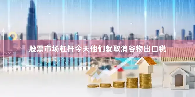 股票市场杠杆今天他们就取消谷物出口税