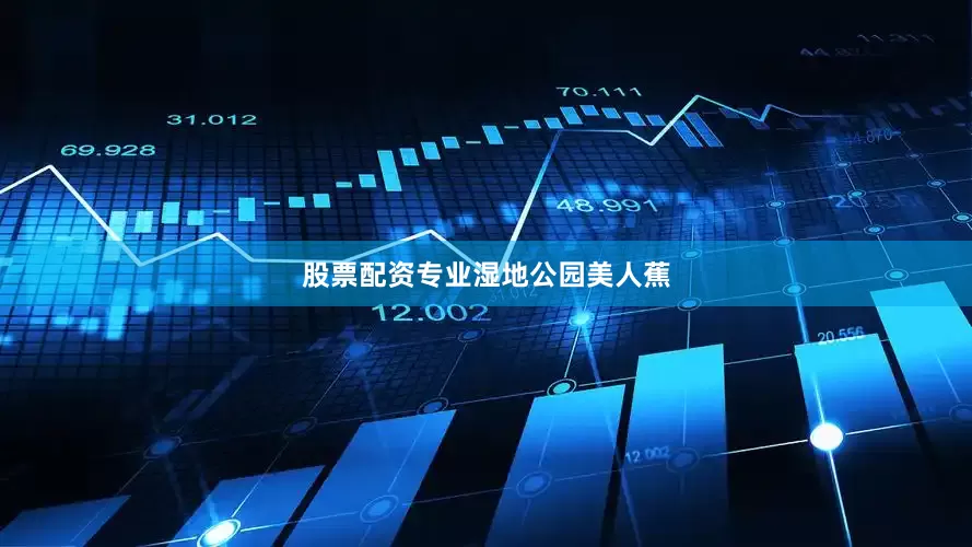 股票配资专业湿地公园美人蕉